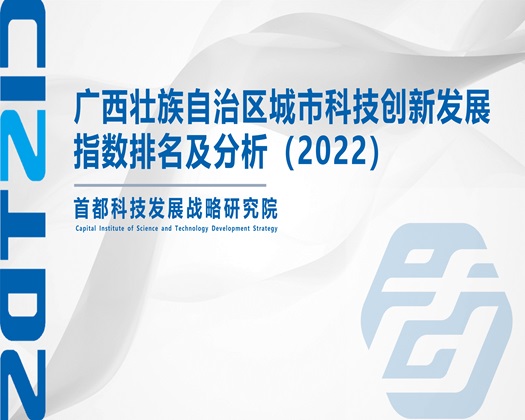 日美女嗯嗯嗯嗯视频【成果发布】广西壮族自治区城市科技创新发展指数排名及分析（2022）